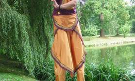 Vente costume danseuse indienne