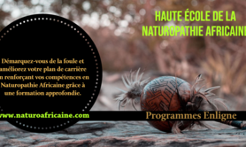 Naturopathie Africaine - ATELIER NATUROPATHIE