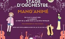 Stage d'orchestre Mang'Animé
