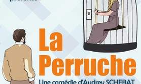 La Perruche, comédie d'Audrey Schebat