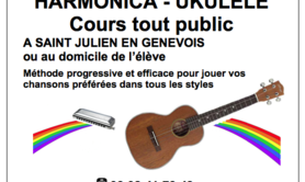 Rinaldo - Harmonica - Ukulélé : Cours tout public