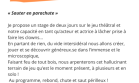 Stage théâtre « Sauter en parachute »