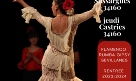   asso LLAMAS FLAMENCA'S  - cours de  flamenco rumba sevillanes 2023, 2024
