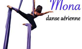 LA MONA DANSE  - Cours de danse aérienne sur tissus