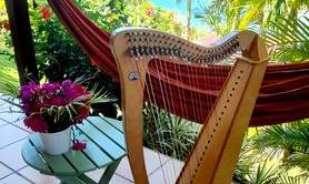 Violaine la harpiste  - Harpe celtique pour mariage 