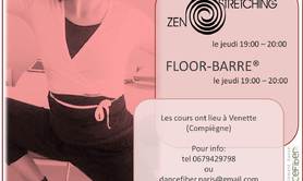 DanceFiber - Cours de Zen Stretching® et Floor Barre® pour adultes