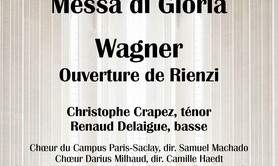 Concert Puccini / Wagner