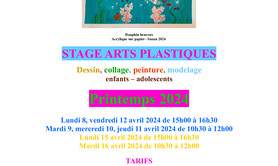 Stage Arts Plastiques Printemps 2024