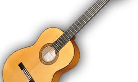 Flamenco Guitare - atelier cours de guitare flamenco