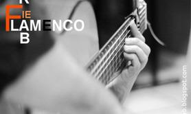 Compagnie Zyriab - Cours de guitare Flamenco