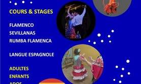 Association Bailar La Vida  - MERCREDI  & VENDREDI : COURS DE DANSE  FLAMENCO SEVILLANAS