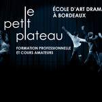 Le Petit Plateau  - Ecole d'art dramatique Formation professionnelle