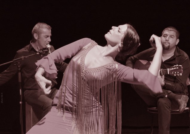 cours et stages de flamenco