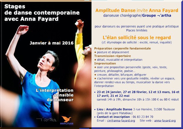 Stages de janvier à mai 2016 à Toulouse (31)