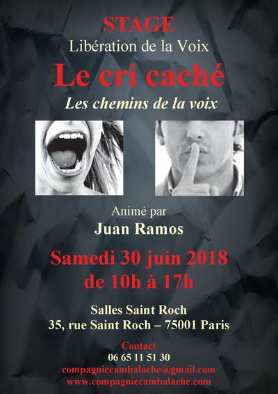 Stage de libération de la voix "Le cri caché" le 8 juillet2017 à Paris