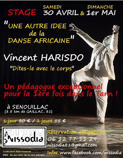 Stage de danse avec Vincent Harisdo
