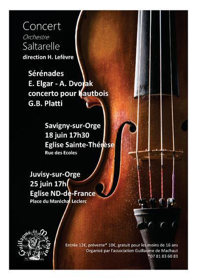 Sérénades pour cordes d'E. Elgar et A. Dvorak