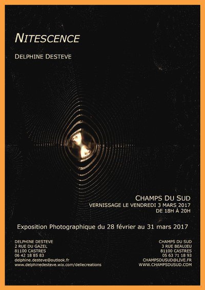 Exposition photographique Nitescence