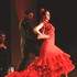 Al Andalus Flamenco Nuevo - Paris Théâtre des Variétés - Image 6