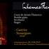 Asso Flamenco Llamas flamenca's - Cours de danses  flamenco- sevillanes -rumba gipsy  - Image 3