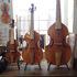 Perrin et fils luthiers - violon alto violoncelle contrebasse  violes  louez le - Image 4