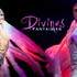 revue cabaret divines fantaisies - Image 2