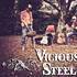 Vicious Steel - Duo acoustique - Image 6