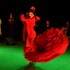 AL ANDALUS FLAMENCO NUEVO PARIS
