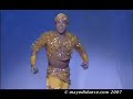 Voir la vidéo Stages danse orientale avec Mayodi et Kamellia (danseurs internationaux) - Image 2