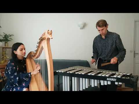 Tsiky Tsiky - Duo harpe et percussions