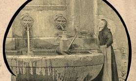 LES PUCES de LA VOULTE