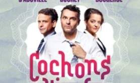 Cochons d'Inde