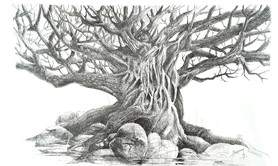 Bernard Maignan - Cours de dessin et peinture 