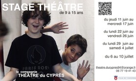 stage théâtre spécial brevet des collèges