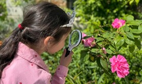 Jardin à la loupe