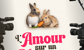 L’amour sur un plateau