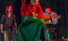 Asso Flamenco Llamas flamenca's - Cours de danses  flamenco- sevillanes -rumba gipsy 