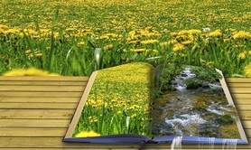 Ateliers écriture de poésie 