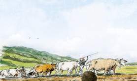 Conférence : Rosa Bonheur en Nivernais