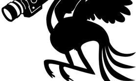 Xaleo studio - Xaleo production vidéo et studio de réalisation vidéo