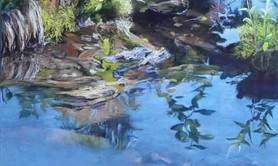 Sylvie Poirson - Stage de pastel sec