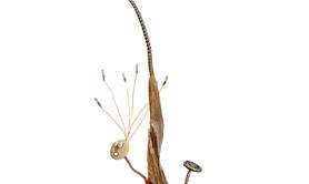 Laurent Gaignebet - Bienvenue dans le monde poêtique et décalé des blobys