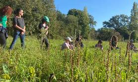 Retraite : le bain de forêt pour se ressourcer