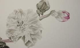 La Pierre et lEncre. Atelier - Cours de dessin et encre de Chine.