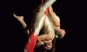 Acrobates Aériens - Artistes de Cirques