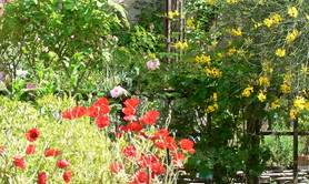 Le jardin Médiéval