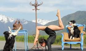 Manon Briaumont - Artiste contorsionniste et aérienne