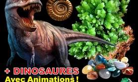 Minéraux Fossiles Cristaux Bijoux + Dinosaures