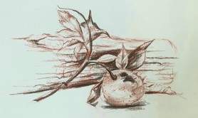 Association Garance - Cours de peinture et dessin