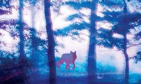 Se souvenir des loups 